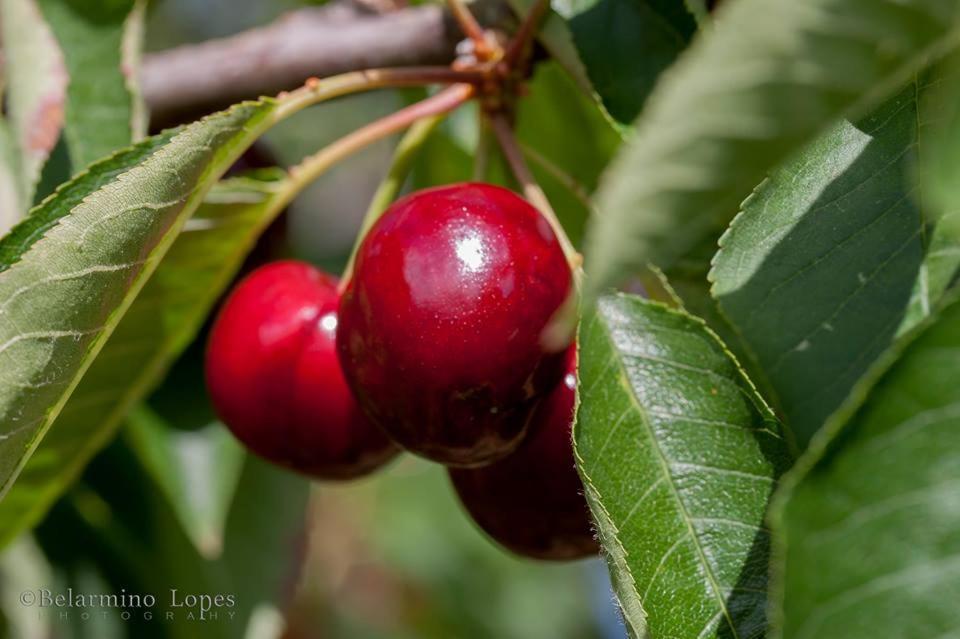 Casa Tita Βίλα Lavacolhos Εξωτερικό φωτογραφία